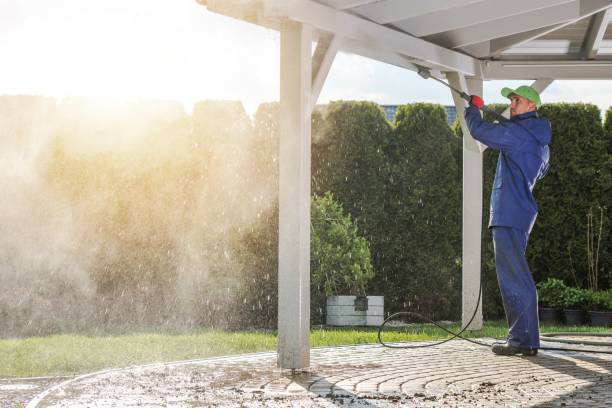 Best Sidewalk and Walkway Cleaning  in Opa Locka, FL